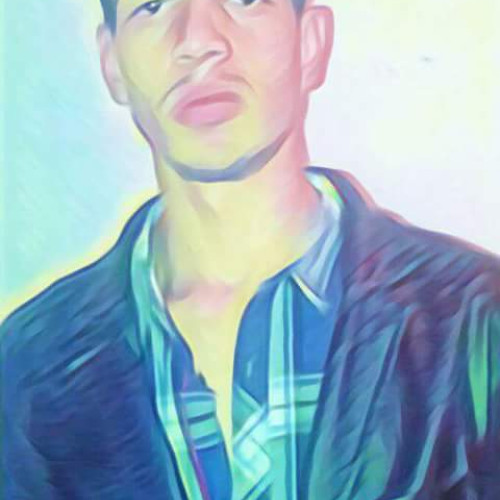 Mouhsssin  N. profile photo
