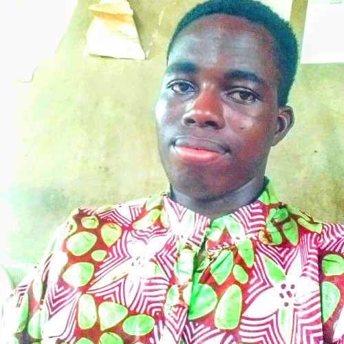 Olawale V. profile photo
