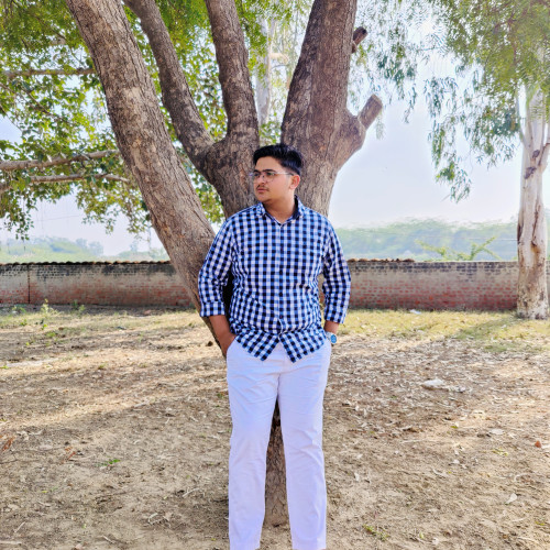 Ankush P. profile photo