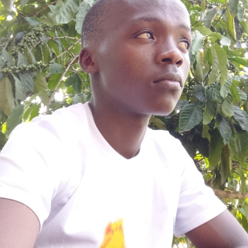 Turyatunga A. profile photo