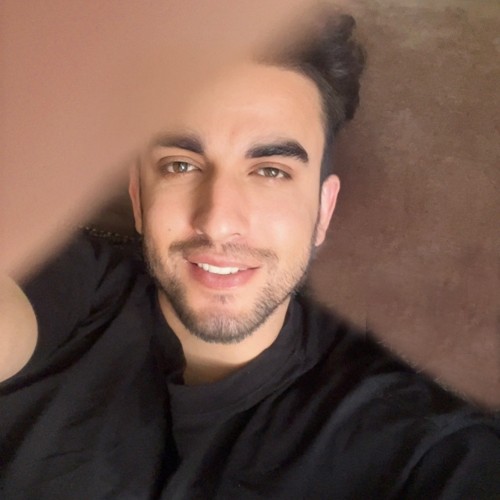 Ajmir S.