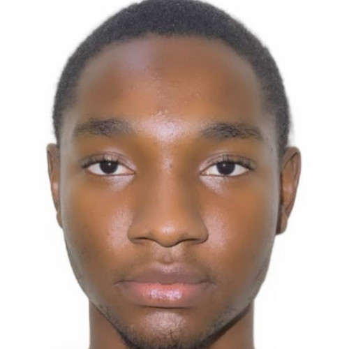 Emmanuel N. profile photo