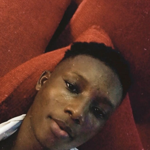 David M. profile photo