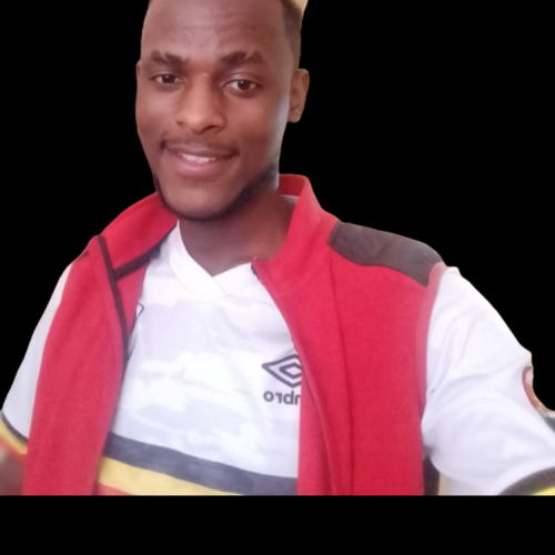 DAVID M. profile photo