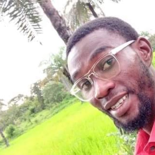 Stephen  P. profile photo