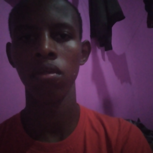 Alex N. profile photo