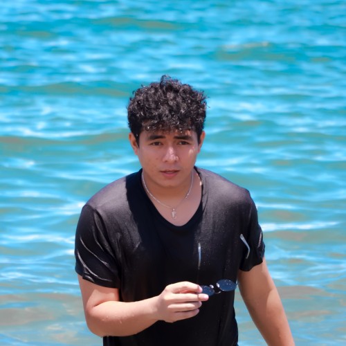 Mark Vincent  M. profile photo