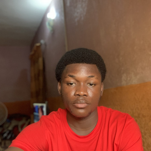 Adebayo  D. profile photo