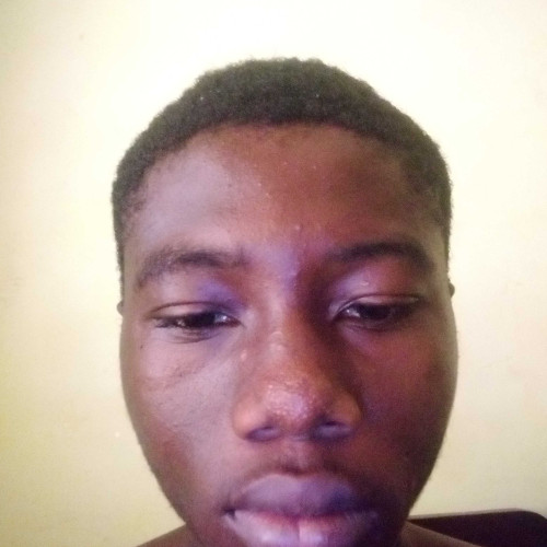 Tandy N. profile photo