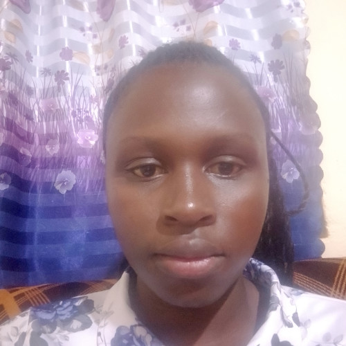 Nancy N. profile photo