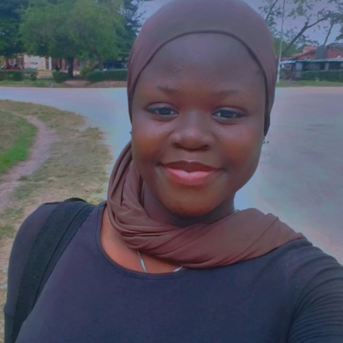Ameedat B. profile photo