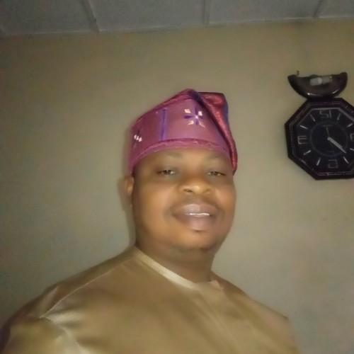 Adesola  P. profile photo