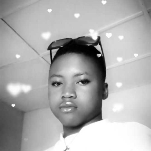 sili Y. profile photo
