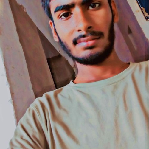 Saksham Y. profile photo