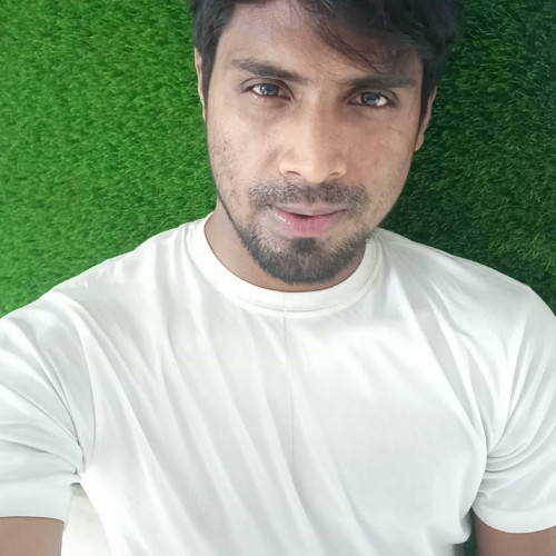 minto M. profile photo