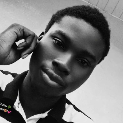 shodie M. profile photo