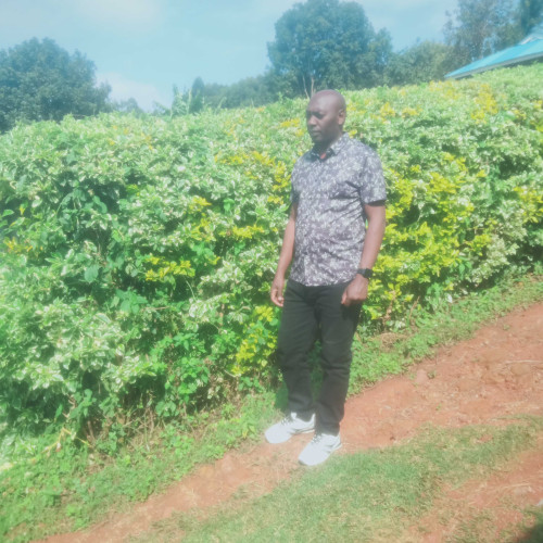 Jos T. profile photo