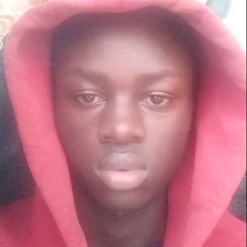 Raynom M. profile photo