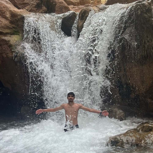 ziad z.