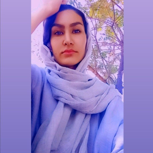 vahideh R. profile photo