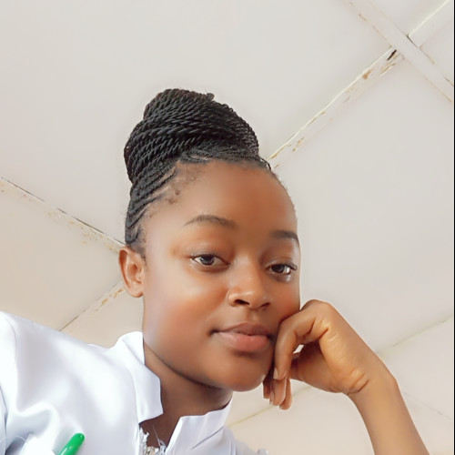 Ezeigwe  S. profile photo