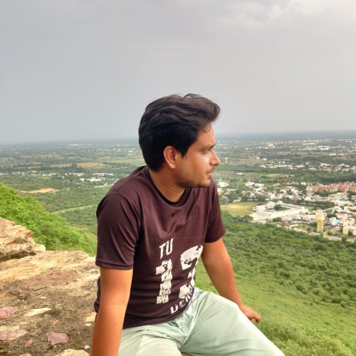 Nilesh U.