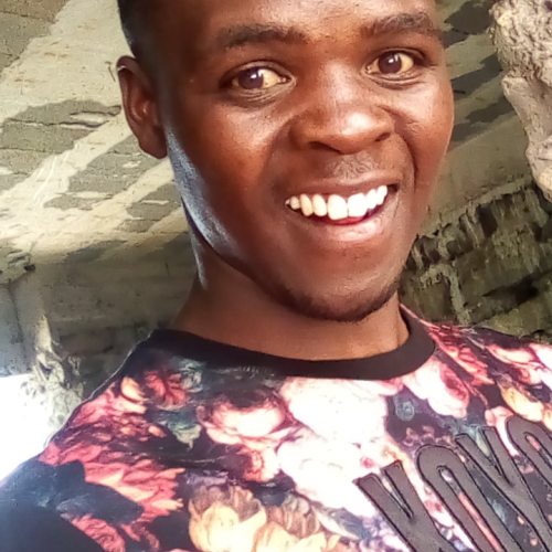 Musa M. profile photo