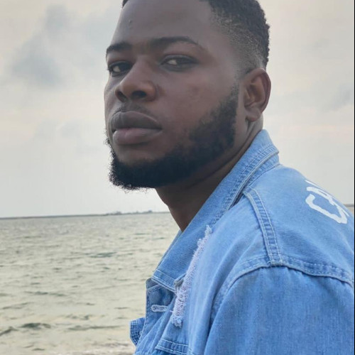Max K. profile photo