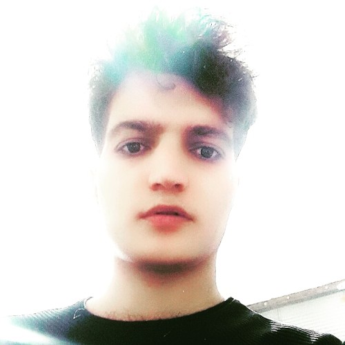 Mohsen g.
