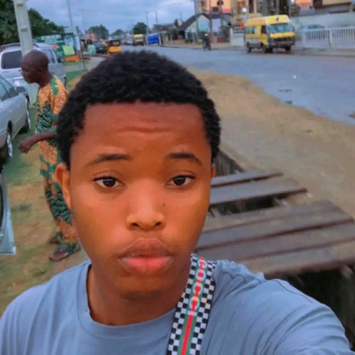 Emmanuel  N. profile photo