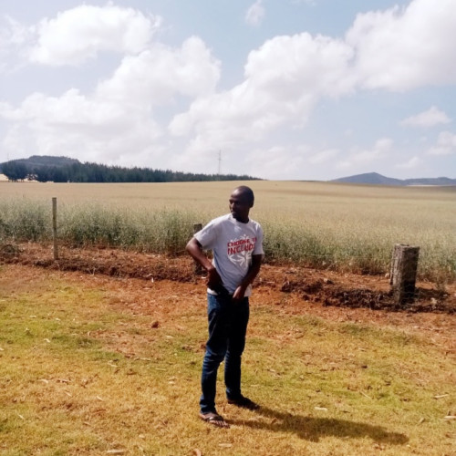 ian l. profile photo