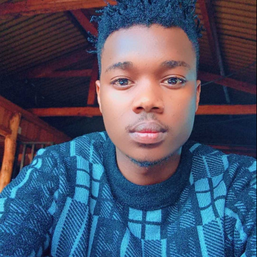 Vincent K. profile photo