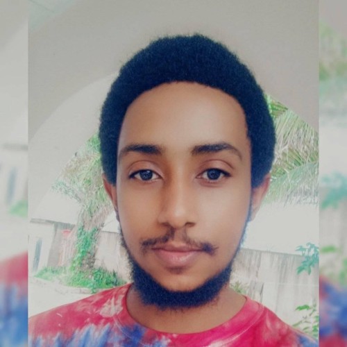 Wolde M.
