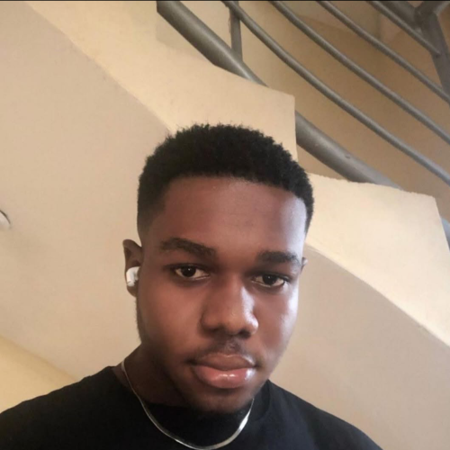 David D. profile photo