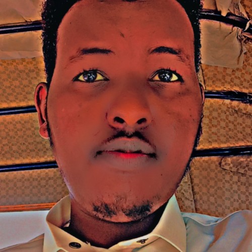 Mohamed A.