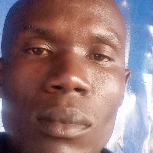 Dan O. profile photo