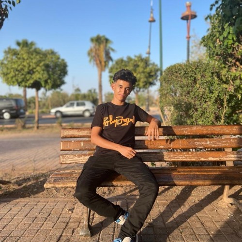NOUREDDINE  K.