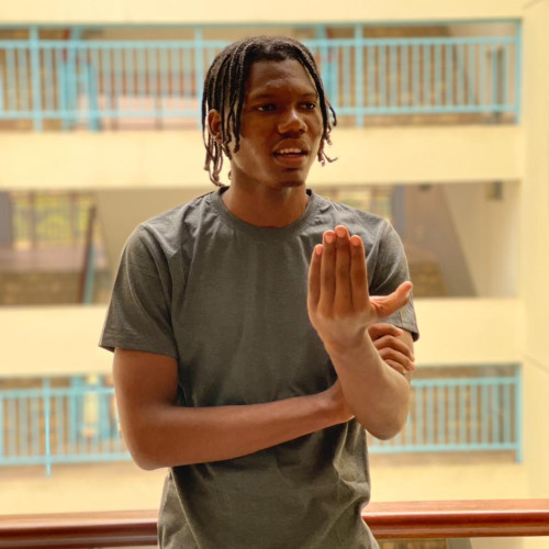 Stelvio  l. profile photo