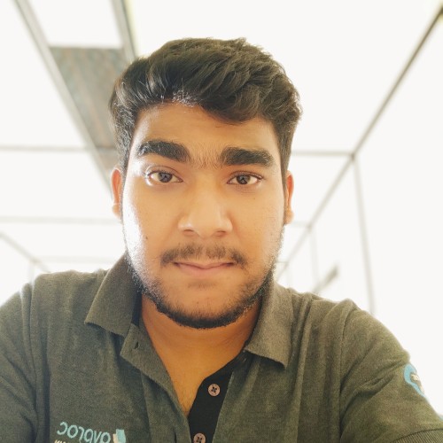 Biswajit B.