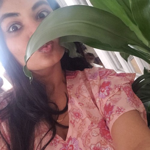 Meera S. profile photo