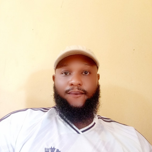 Adebola O. profile photo