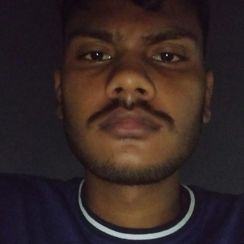 Ankit K.