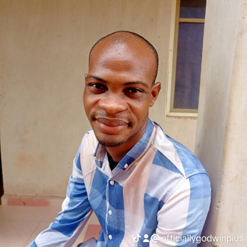 Godwin P. profile photo