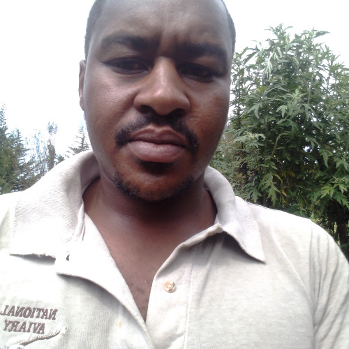 Benson N. profile photo