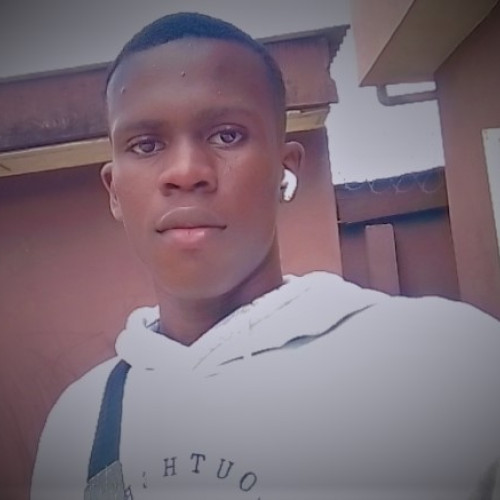 Afolabi A. profile photo