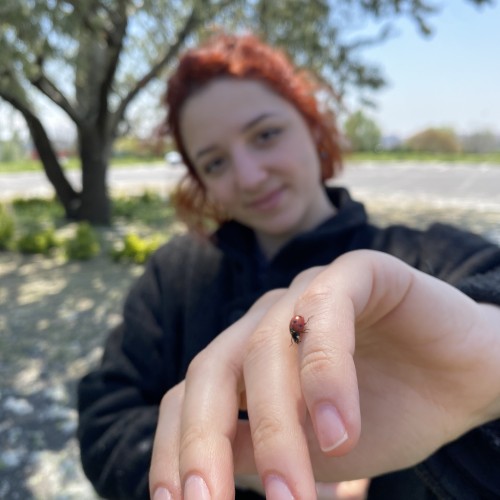 Selin A. profile photo