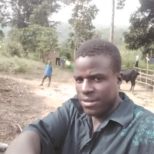 Bukenya M. profile photo