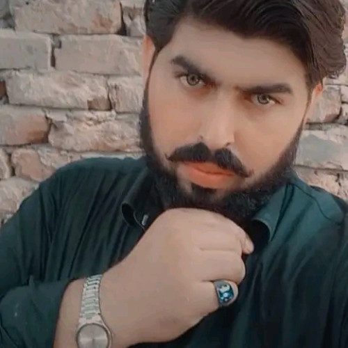 Tanveer  A. profile photo
