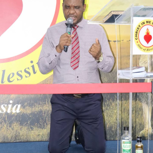 Nelson A. profile photo