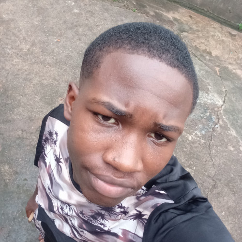 Amaechi  J. profile photo